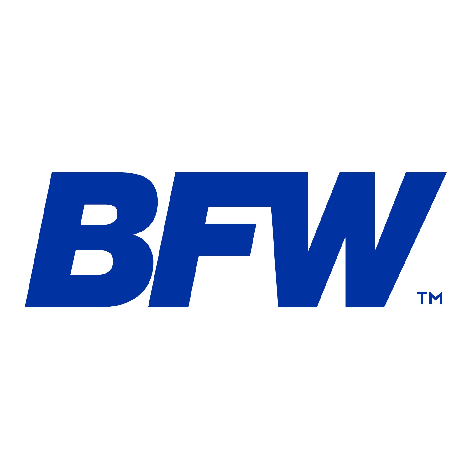 BFW Pharos Headlight/Video Camera System 170