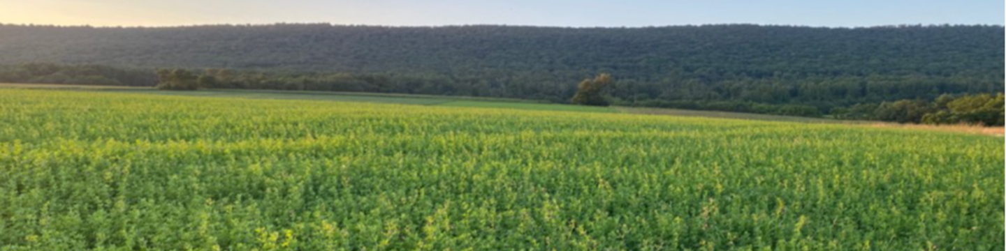 PA STATE CONSERVATION COMMISSION 312