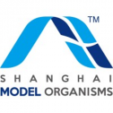 Shanghai Model Organisms Center LLC 43