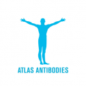 Atlas Antibodies 124