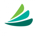 CareCredit 77