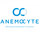 Anemocyte Srl 175