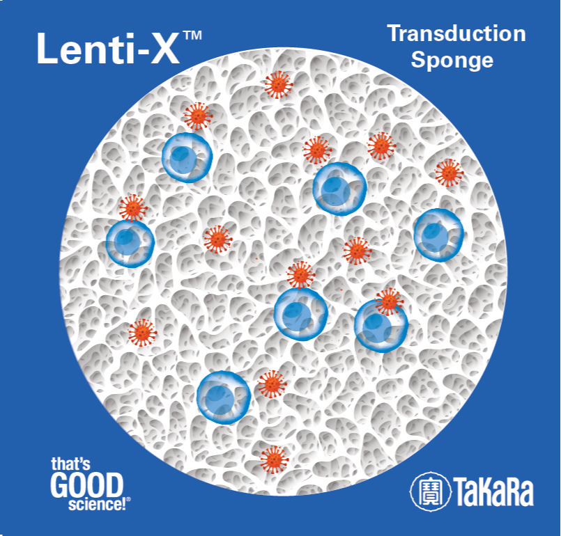 Save 25%* on a lentiviral sponge that boosts transduction efficiency and offers an easier workflow 327