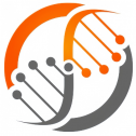 iXCells Biotechnologies USA, Inc. 353