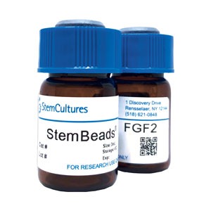 StemBeads FGF2 18