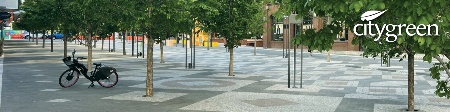 Citygreen Systems Ltd 170