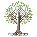Green Canopy Digital Solutions 136
