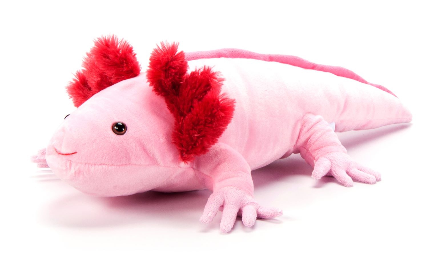 Wild Onez Axolotl 134