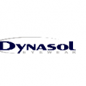 Dynasol Eyewear 558