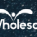 Akzanwholesale.com 876