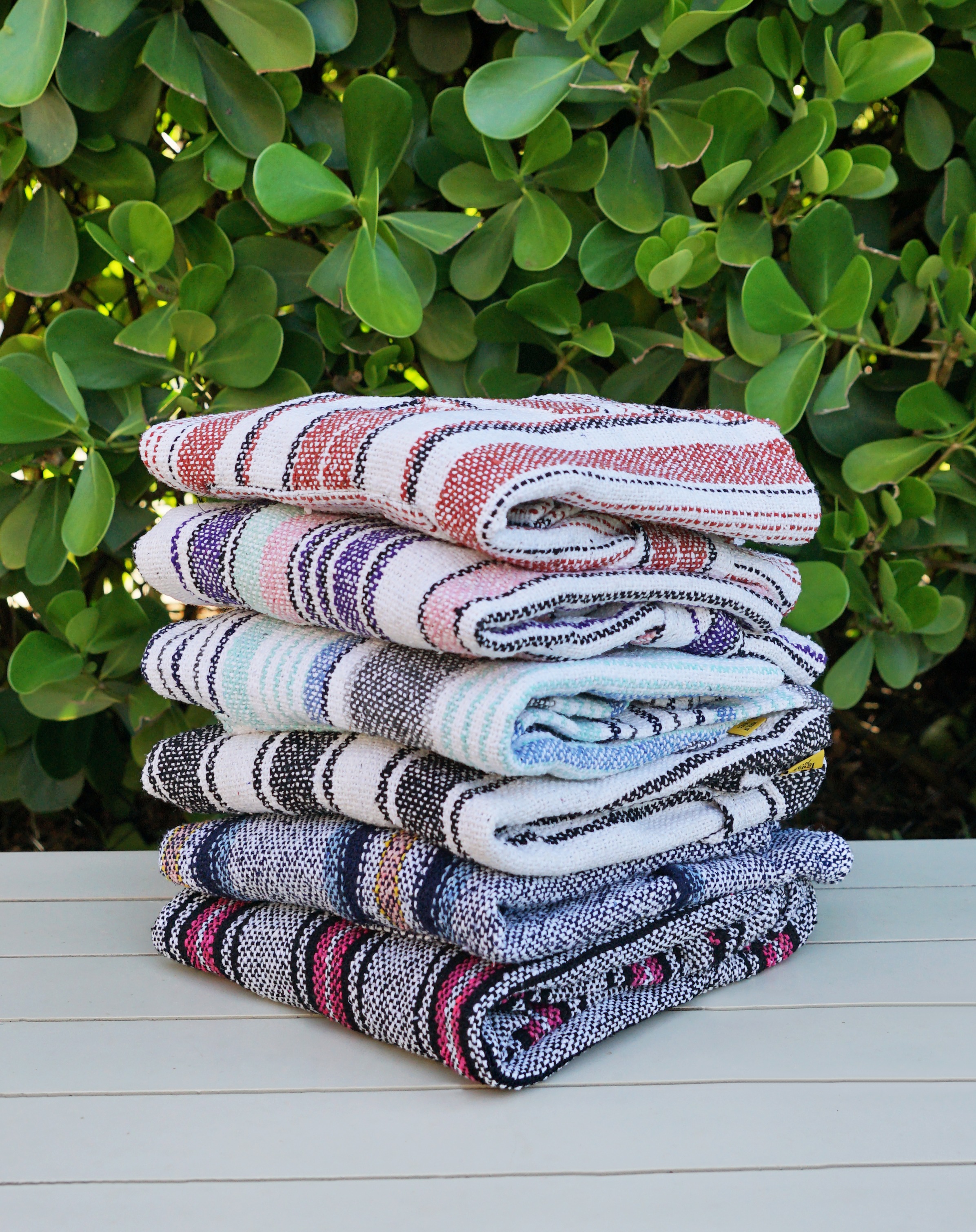 Iguana Jack Baja 358