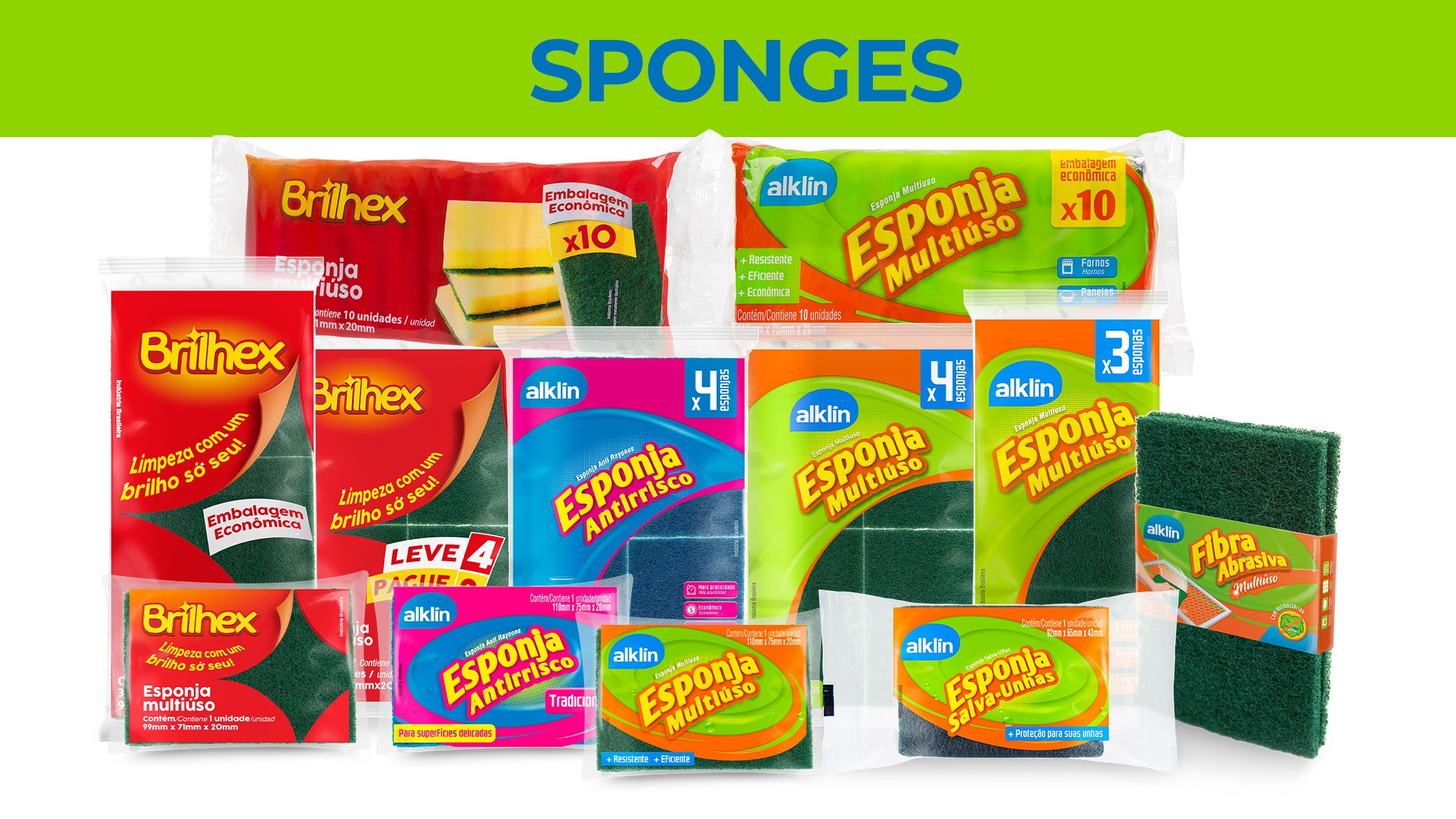 Sponges 343