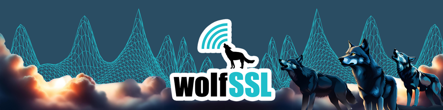 WolfSSL 207