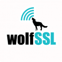 WolfSSL 207