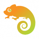 Chameleon Corporation 158