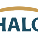 Halo Dream, Inc. 92