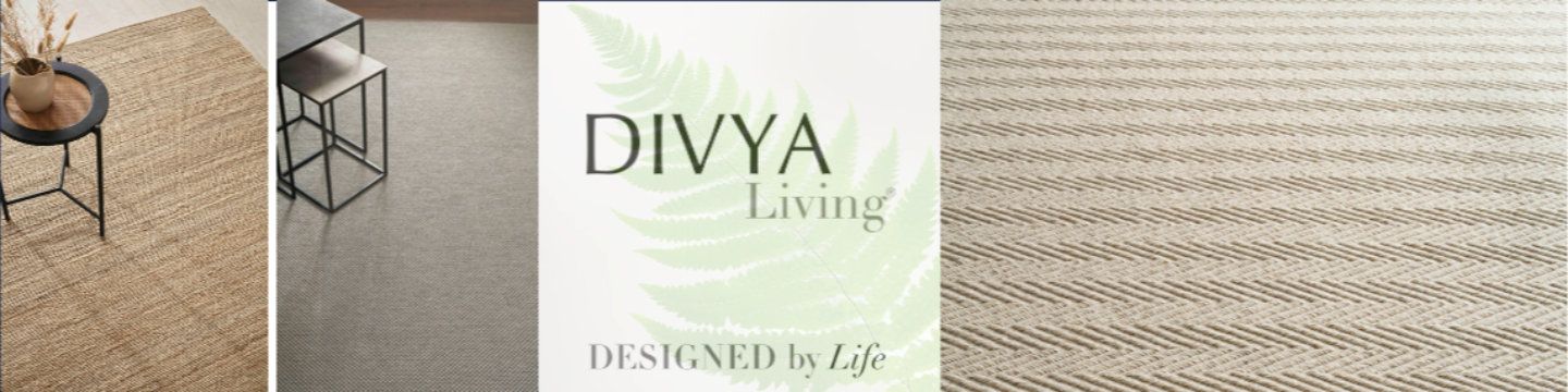 Divya Living 419