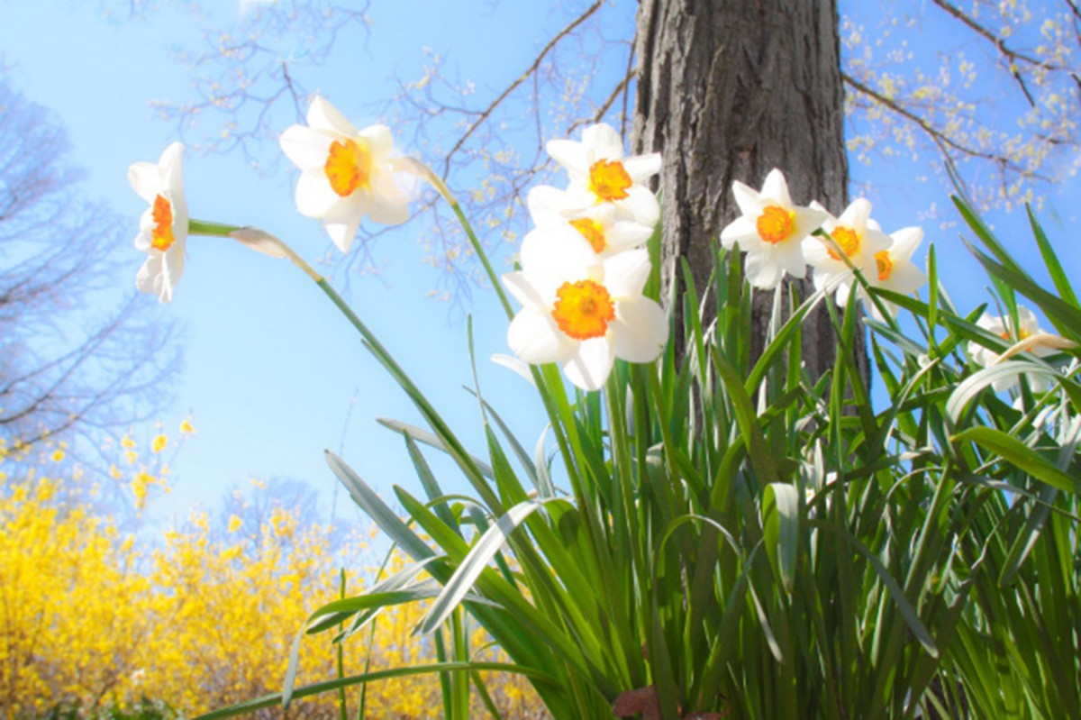 Spring Has Sprung: Tips To Grow And Nurture Your Supporters 5666