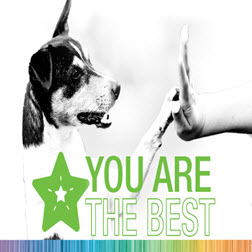 Share the Love: Downloadable Postcards from bbcon! 4091