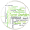 Learn for Analytics:  An Important First Step in Utilizing Target Analytics Project Results! 737