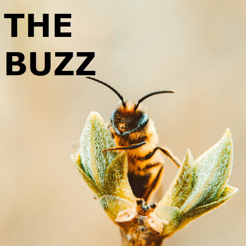 The Buzz: May 22nd Edition 5711