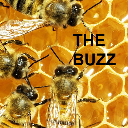 The Buzz: Week Of Jan 28th 5364