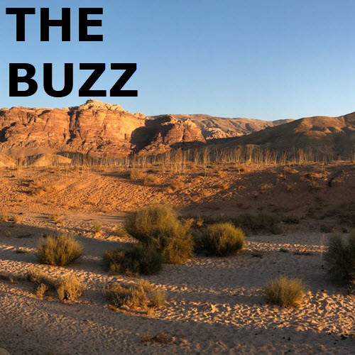 The Buzz: Area 51 Edition 5880