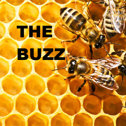 The Buzz: Week of Jan 22nd 5353