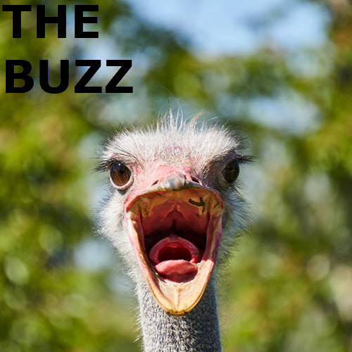 The Buzz: Hey June Edition 5746