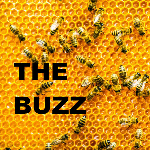 The Buzz: Community Happenings 2.0 5337