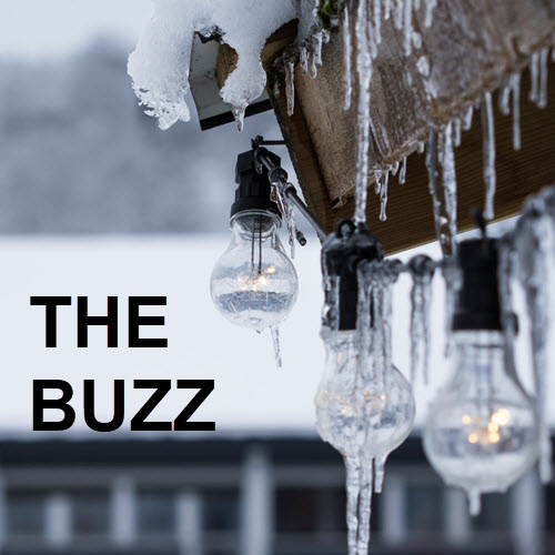The Buzz: Cold Weather Edition 6410