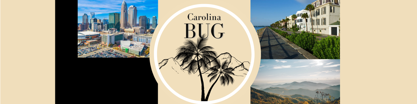 Carolina BUG 98