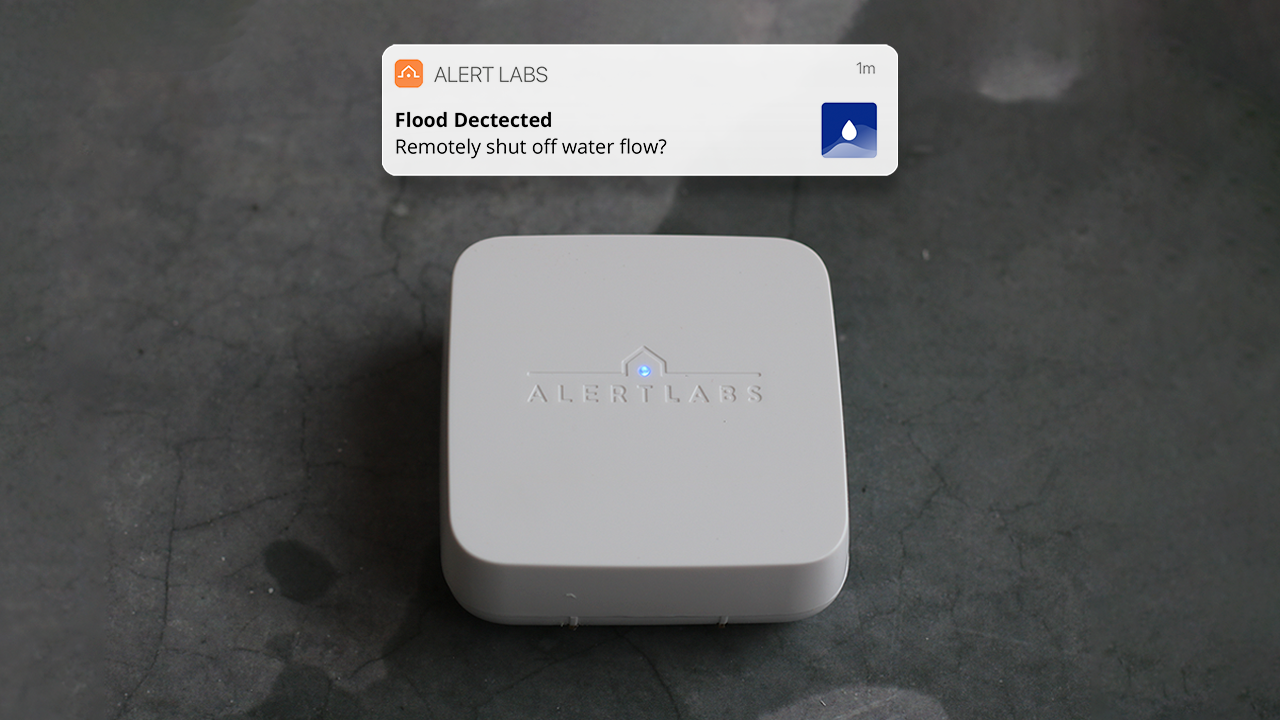 Alert Labs | Water Leak Detection System 294