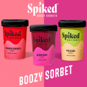 Spiked Boozy Sorbets 521