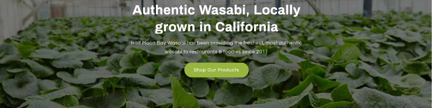 Half Moon Bay Wasabi 637