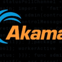 Akamai Technologies 233