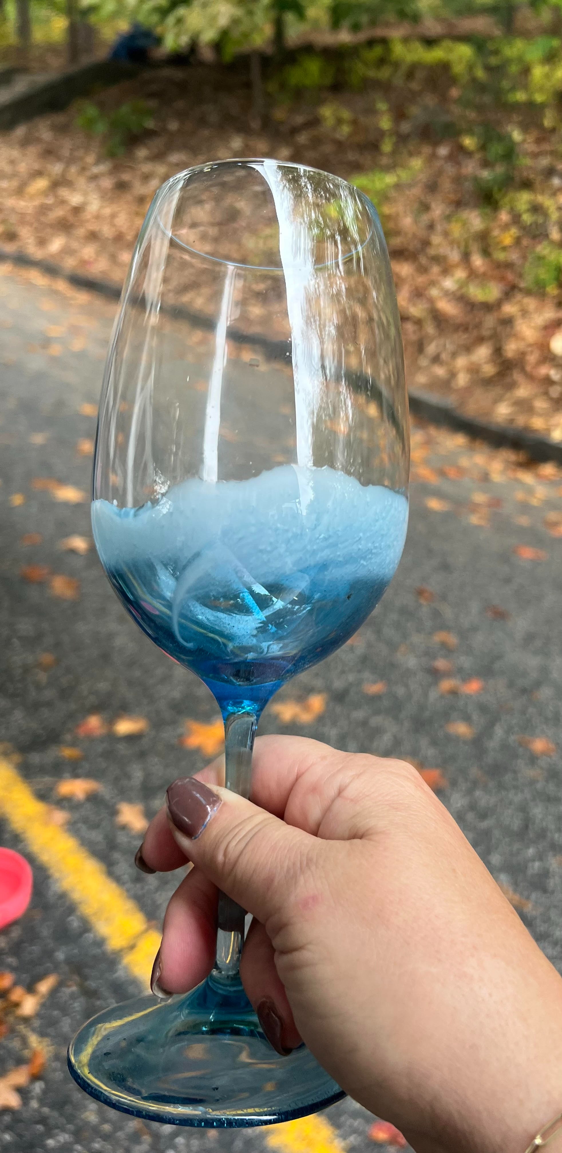 Hand painted stemmed wine glass 328