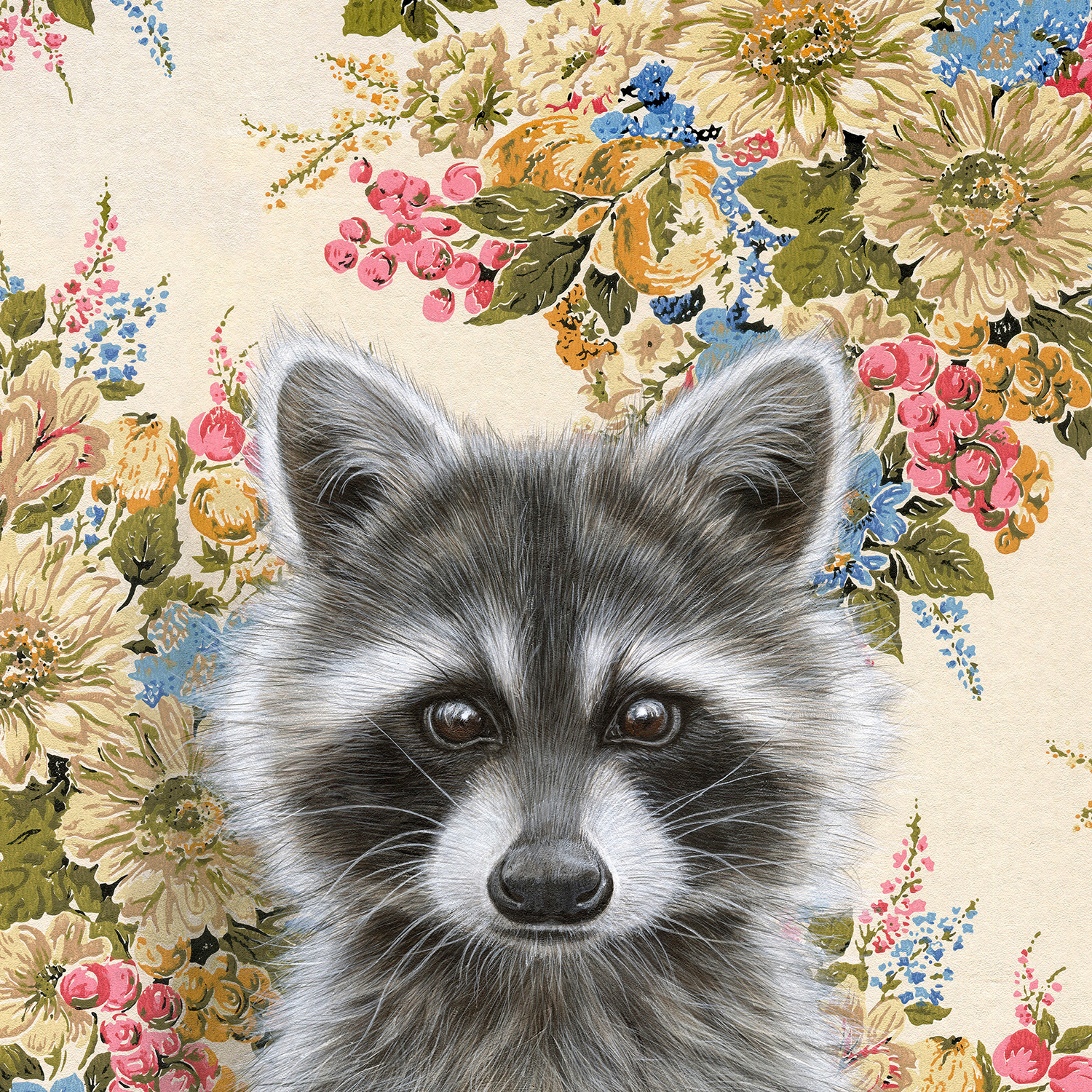 Raccoon 256