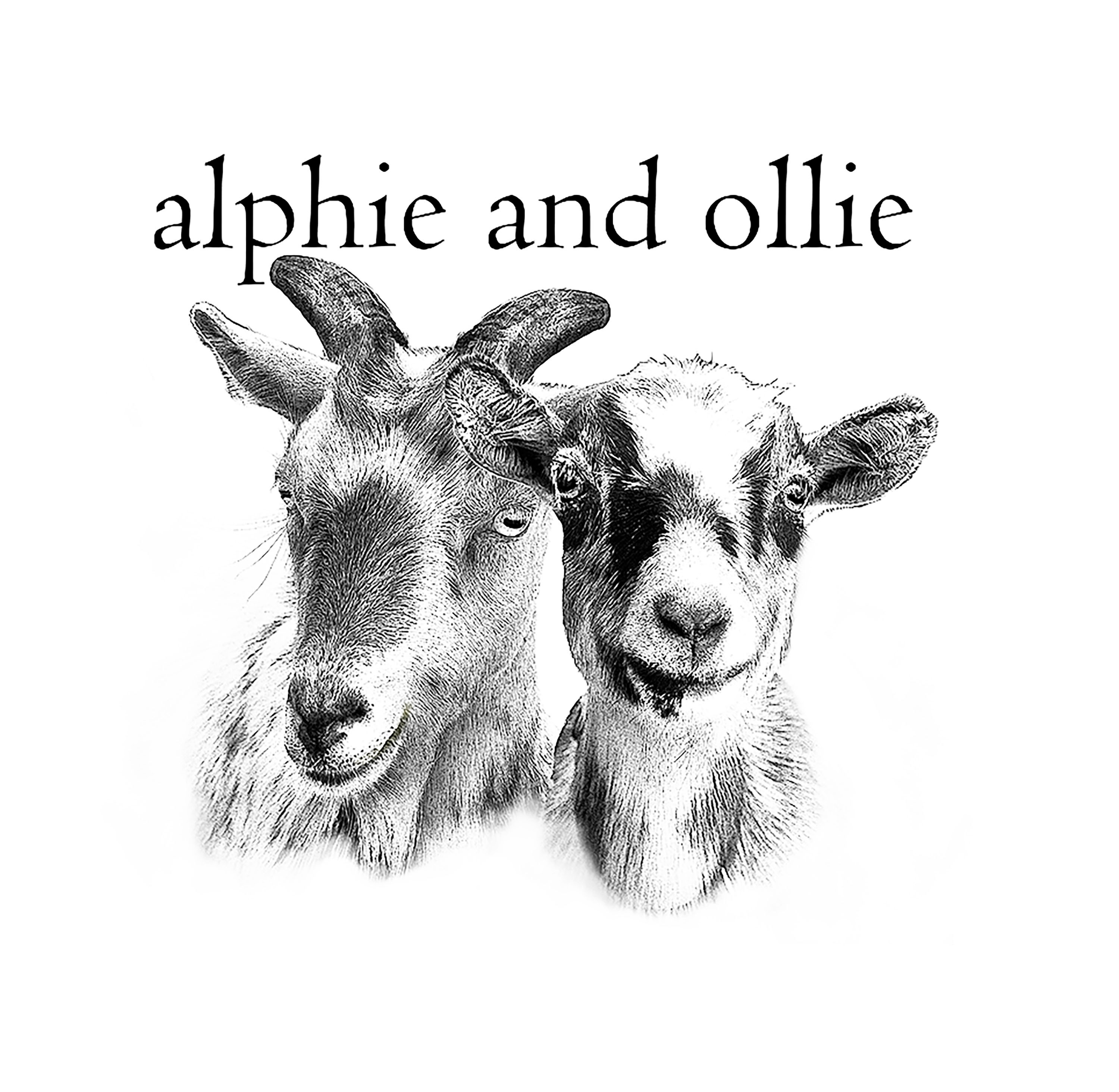 Alphie and Ollie, LLC 476