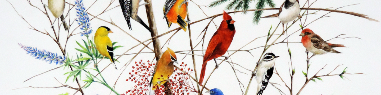 Janet Mandel Art Studio 24