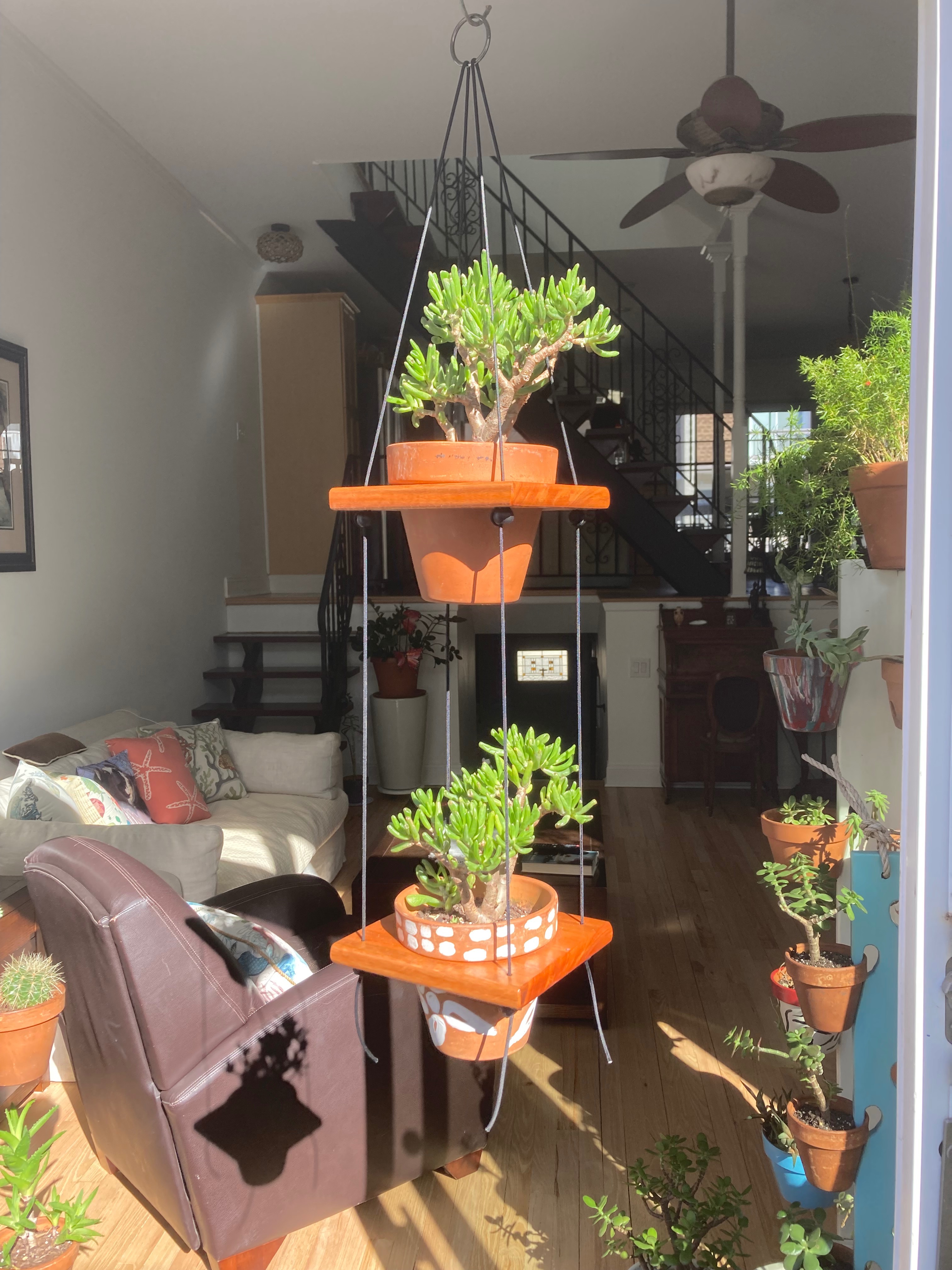 2 Pot Hanging Red Grandis “Shwing”  $52 w/pots 148