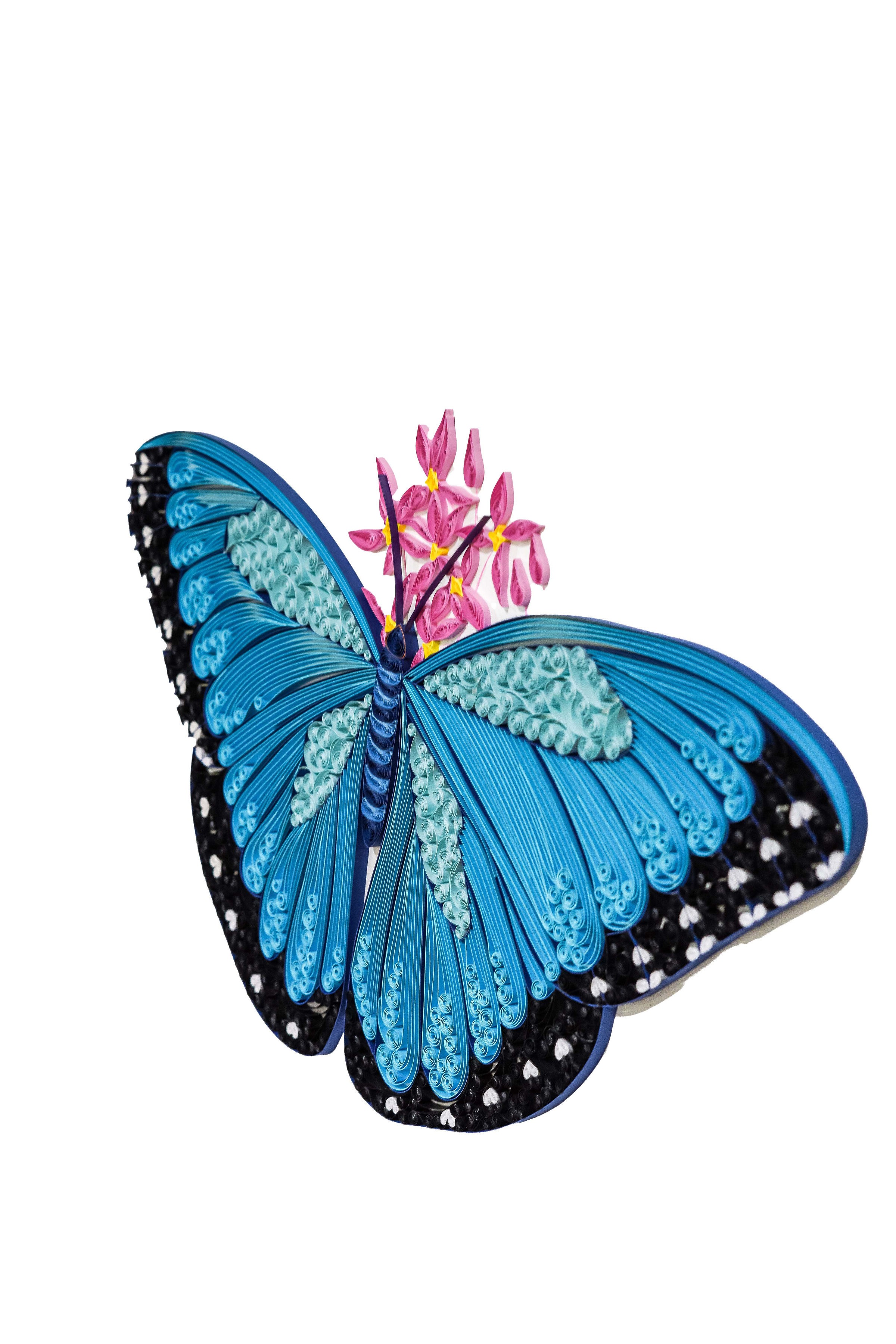 Blue Butterfly 185