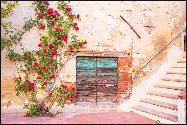 Rose Courtyard, Italy 21