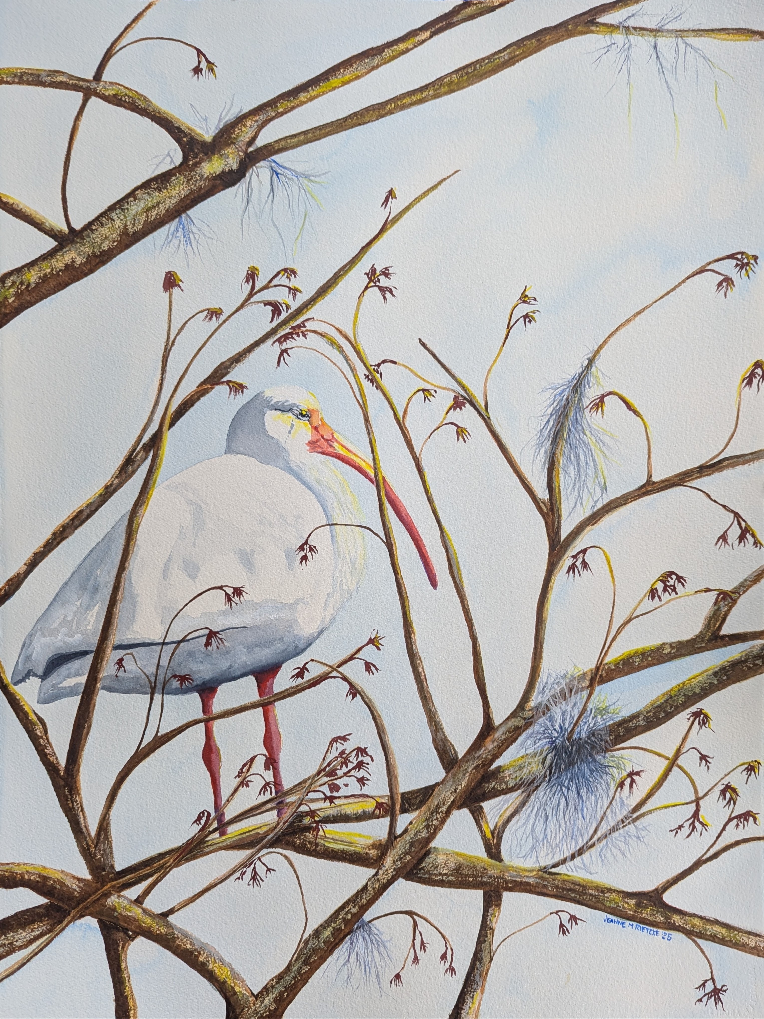 Roosting 44