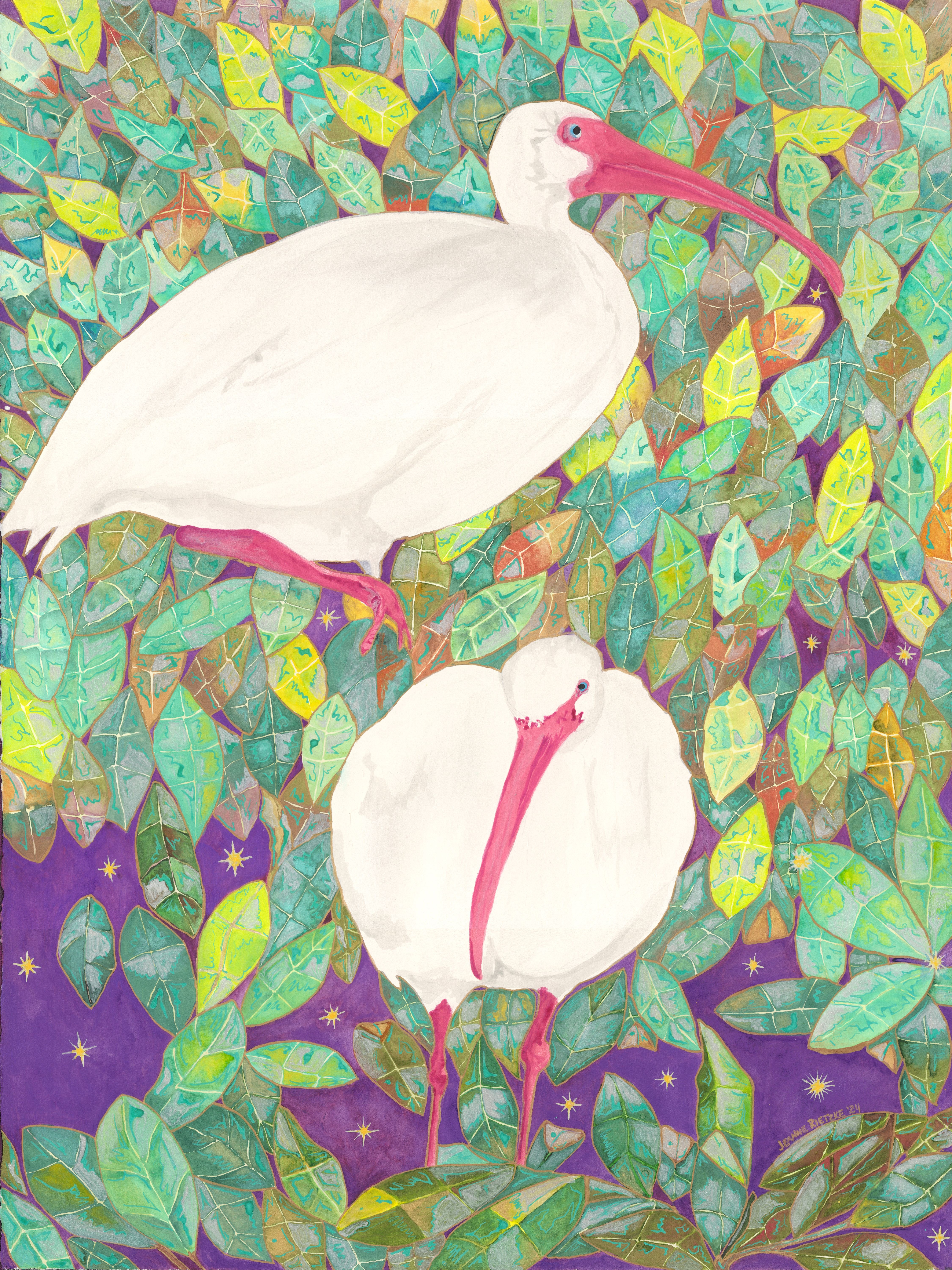 Purple Night With Ibis 45
