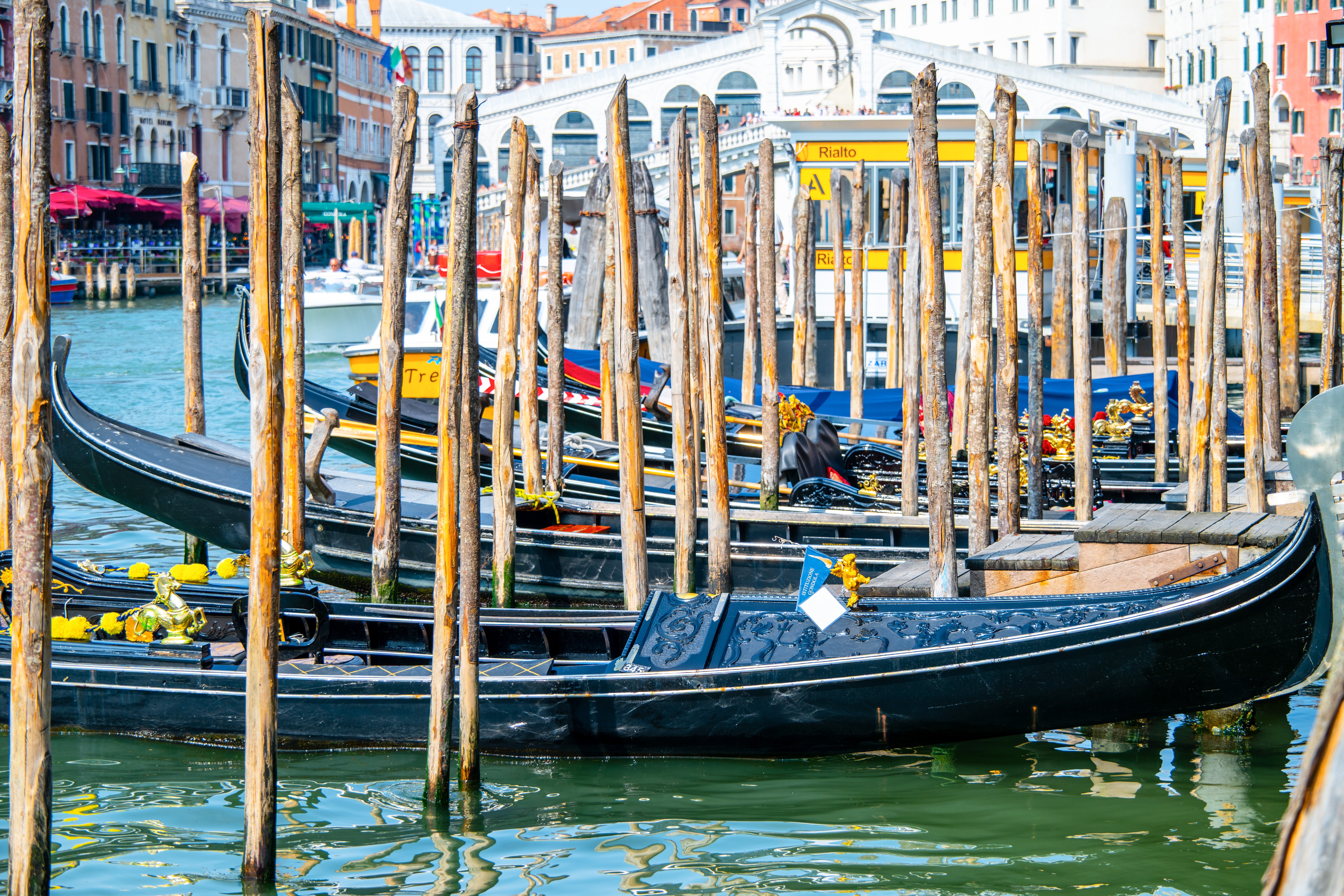Venice 89