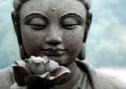 CCL Buddhist Action Team Meeting Friday, 04/05/24, 4:00 to 4:45 PM ET 15365
