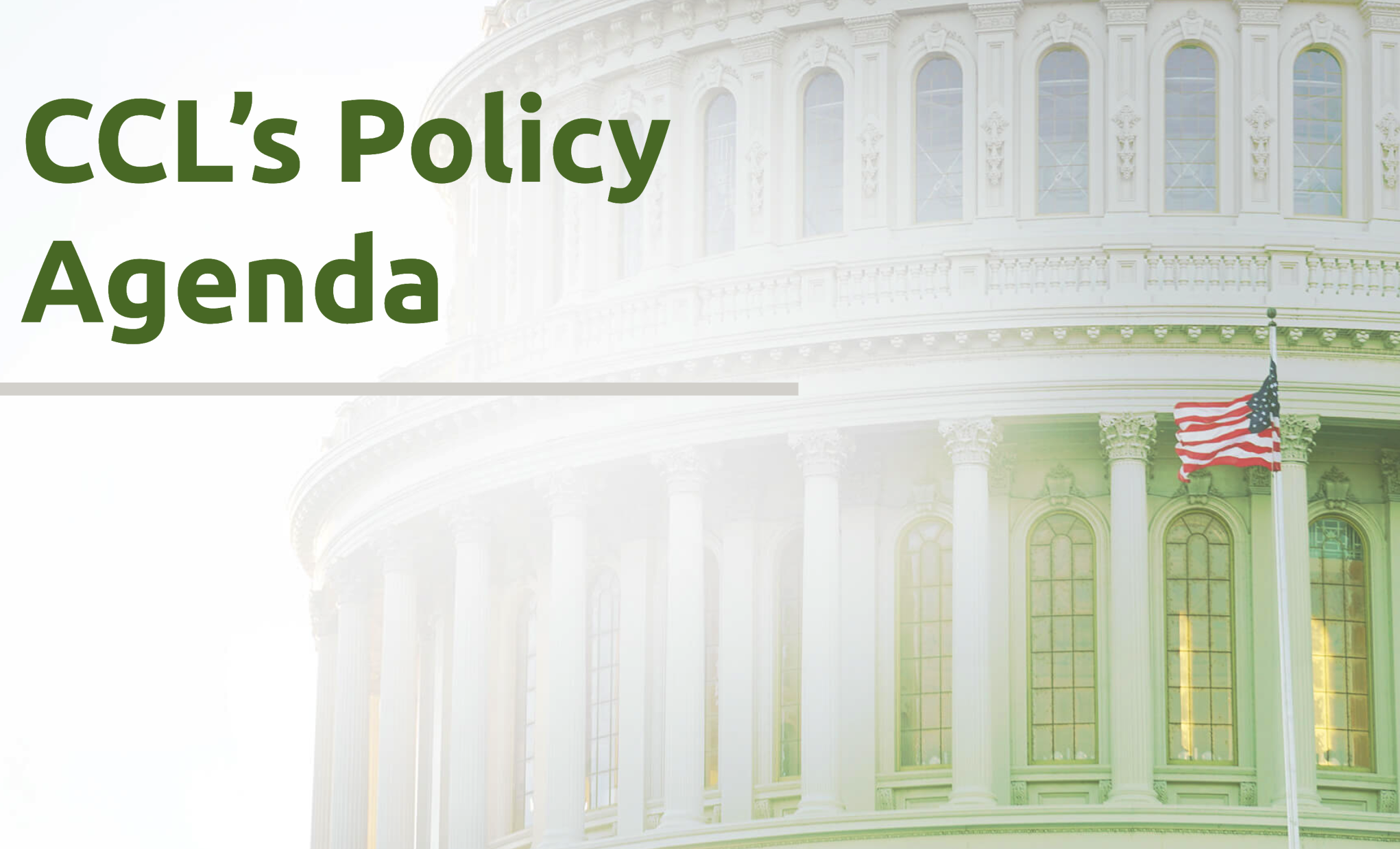 CCL's Policy Agenda 17665