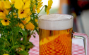 Climate Action Happy Hour, NEW TIME 5-7PM Sun March 30, Draught House 18197