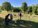 CCL Minneapolis - Lake Hiawatha Restoration/Cleanup 18959